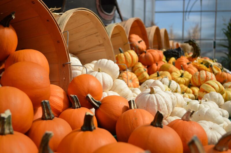 October 2022 Newsletter