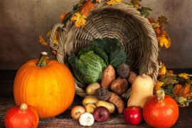 November 2026 Program Calendar